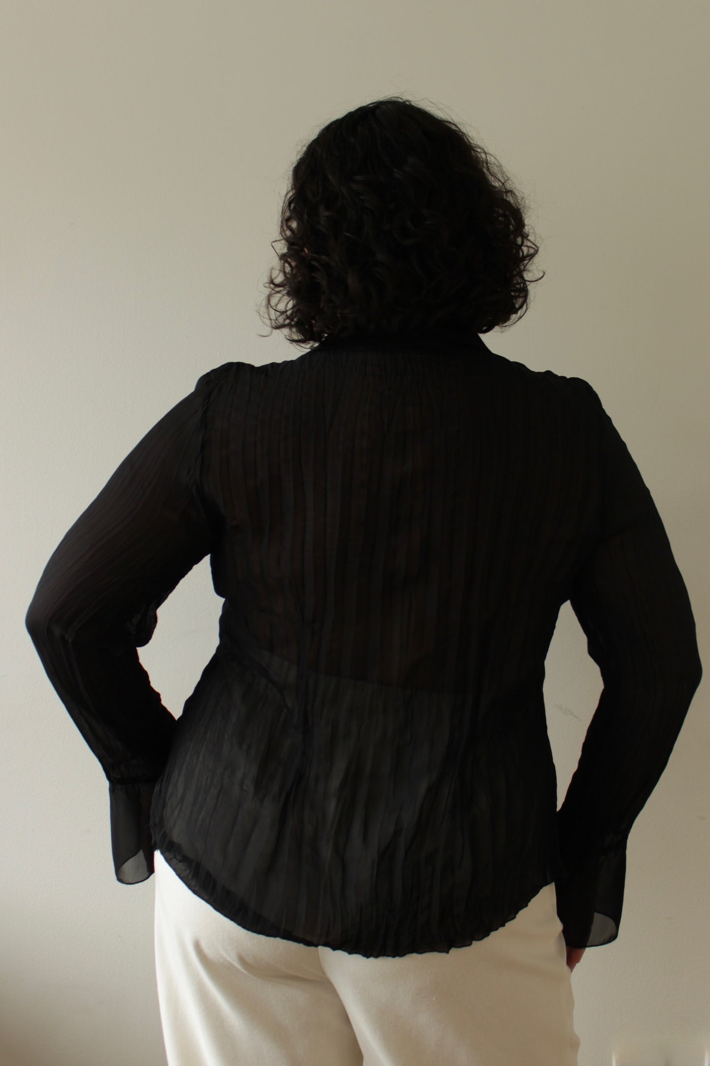 Vintage Onyx Ruffled & Lace Blouse