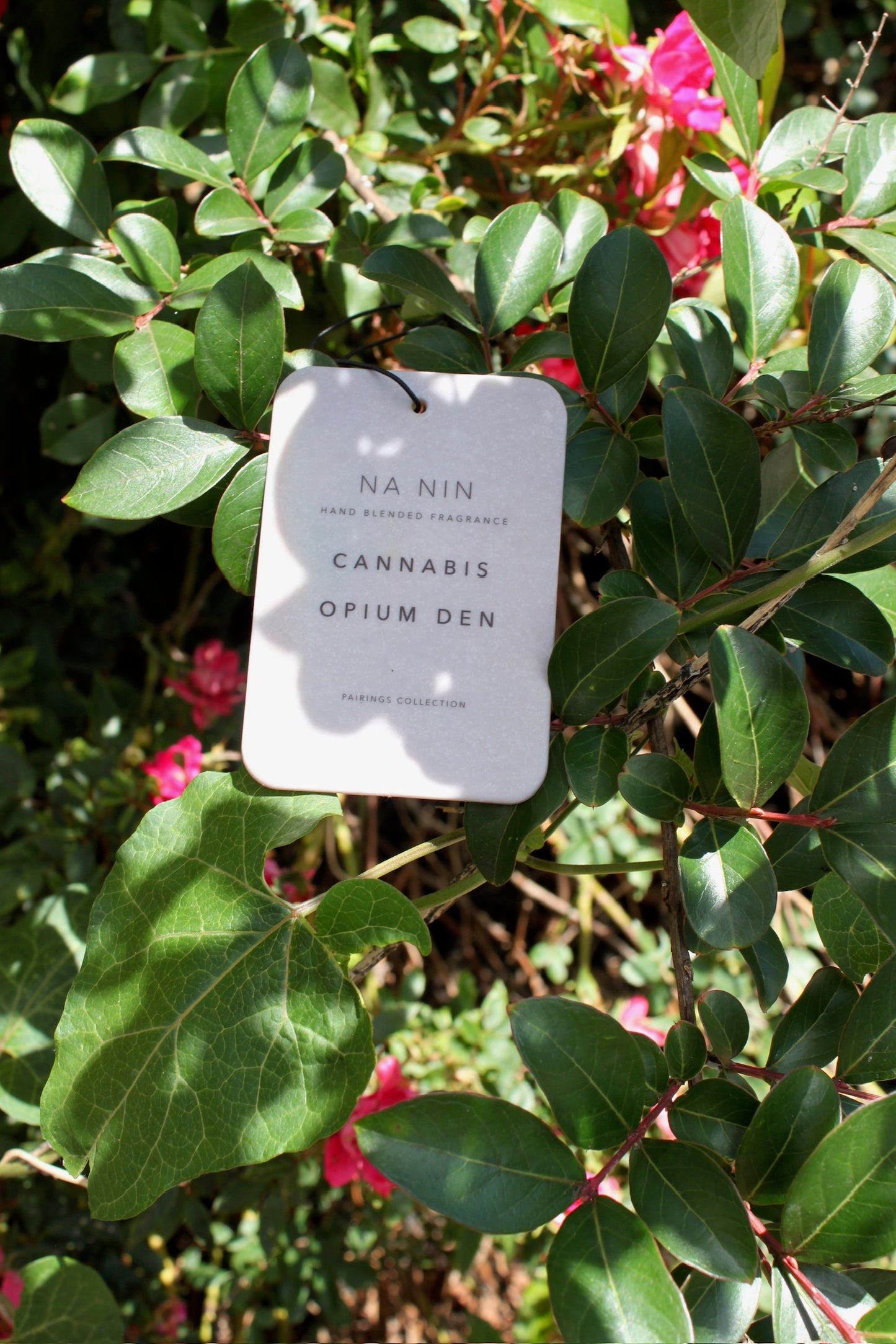 Cannabis & Opium Den Fragrance Card