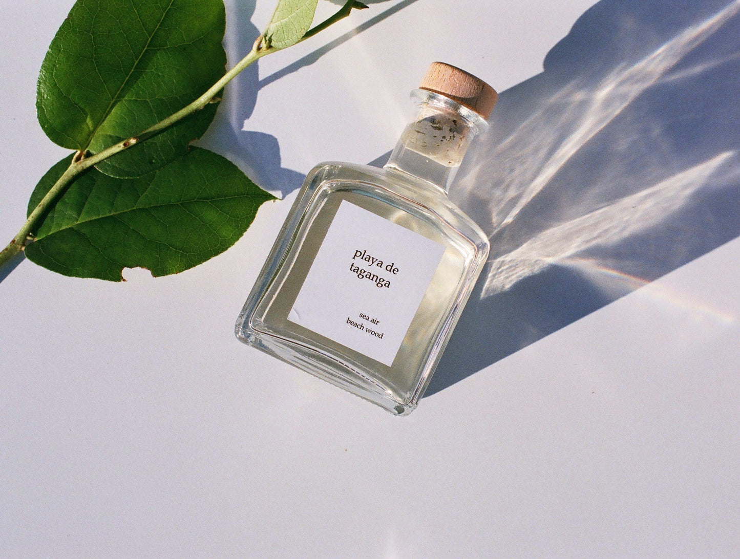 Playa De Taganga Reed Diffuser