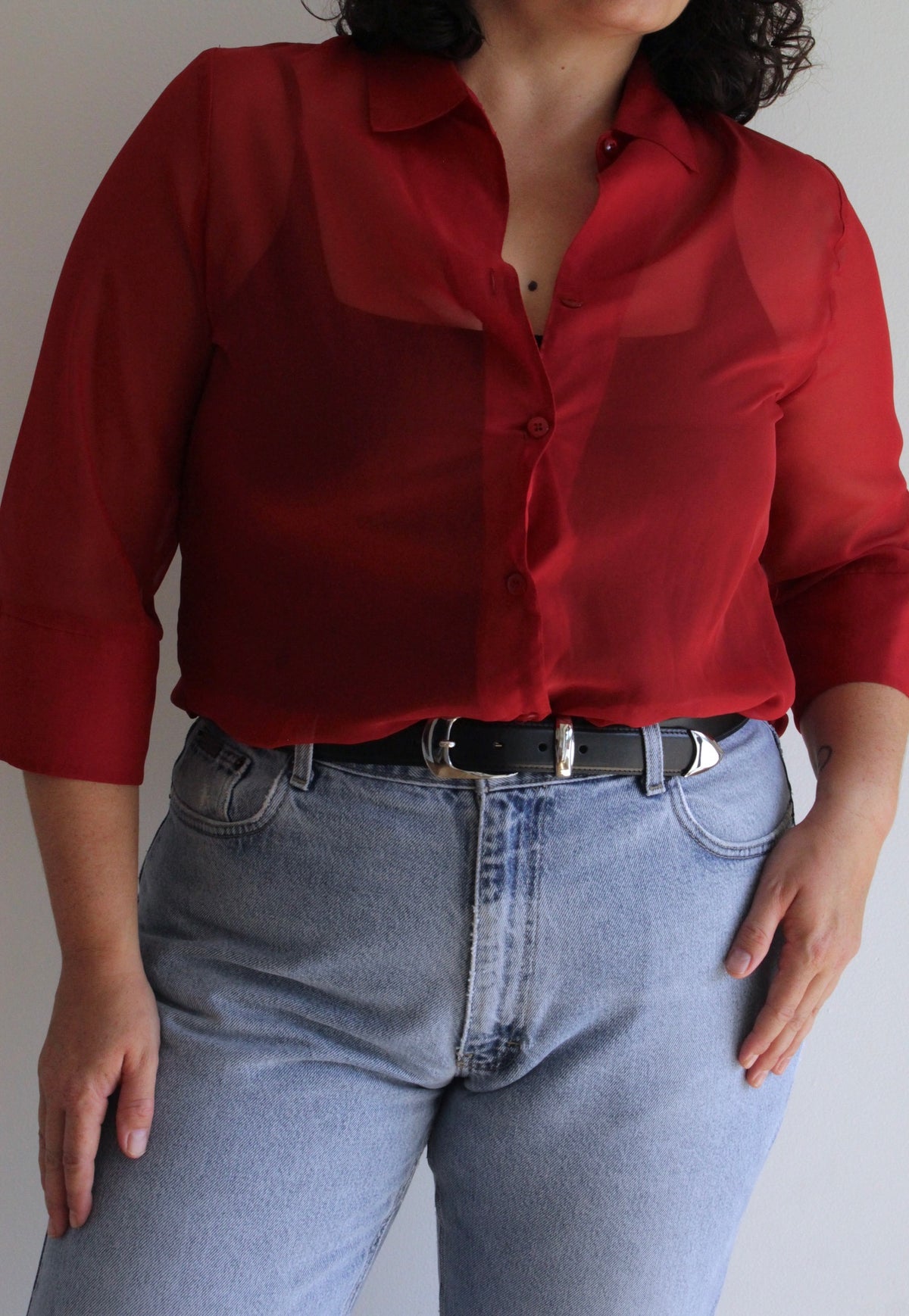 Vintage Rouge Sheer Tunic Blouse