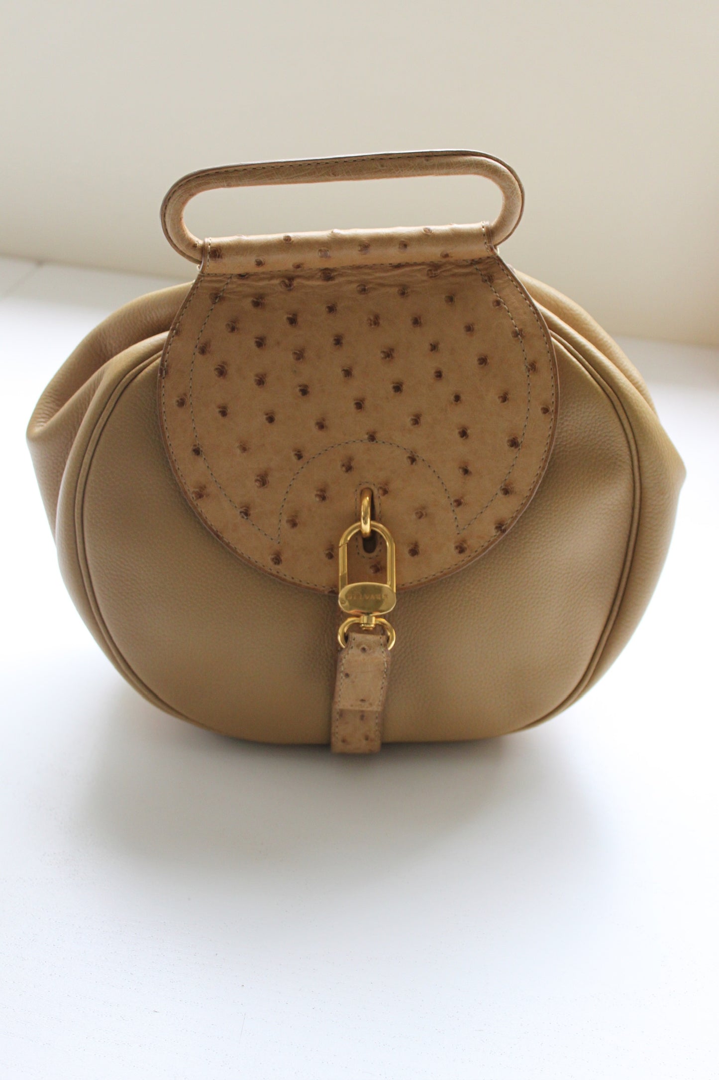 Incredible Delvaux Ostrich-Accent Leather Purse