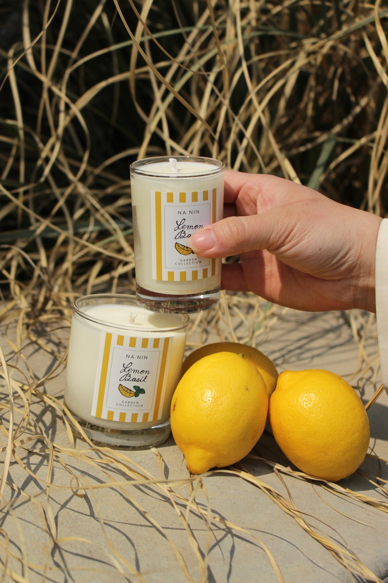 Lemon Basil Candle / Available in 5oz & 8oz – NA NIN