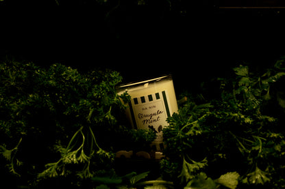 Arugula Mint Candle / Available in 5oz & 8oz