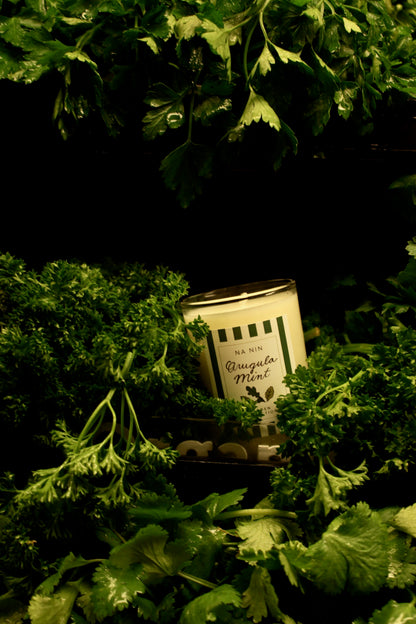 Arugula Mint Candle / Available in 5oz & 8oz