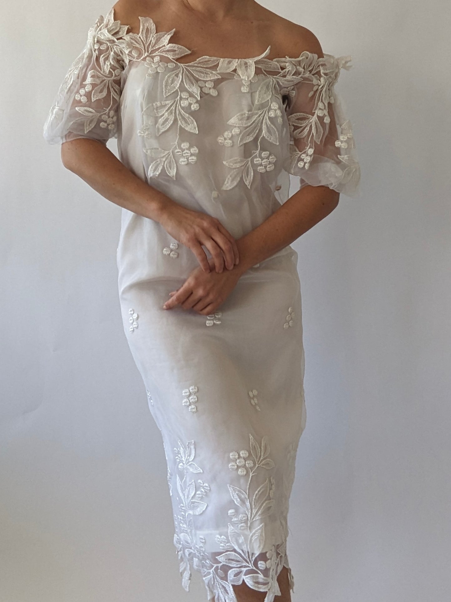 Incredible Vintage Embroidered Organza Dress