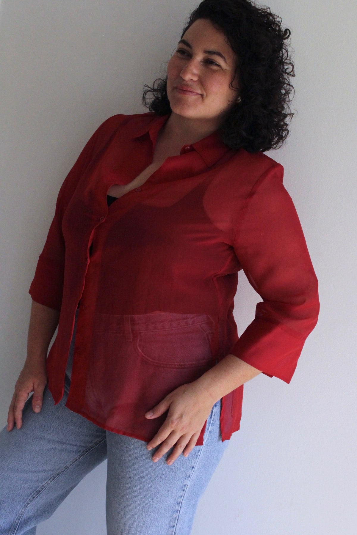 Vintage Rouge Sheer Tunic Blouse