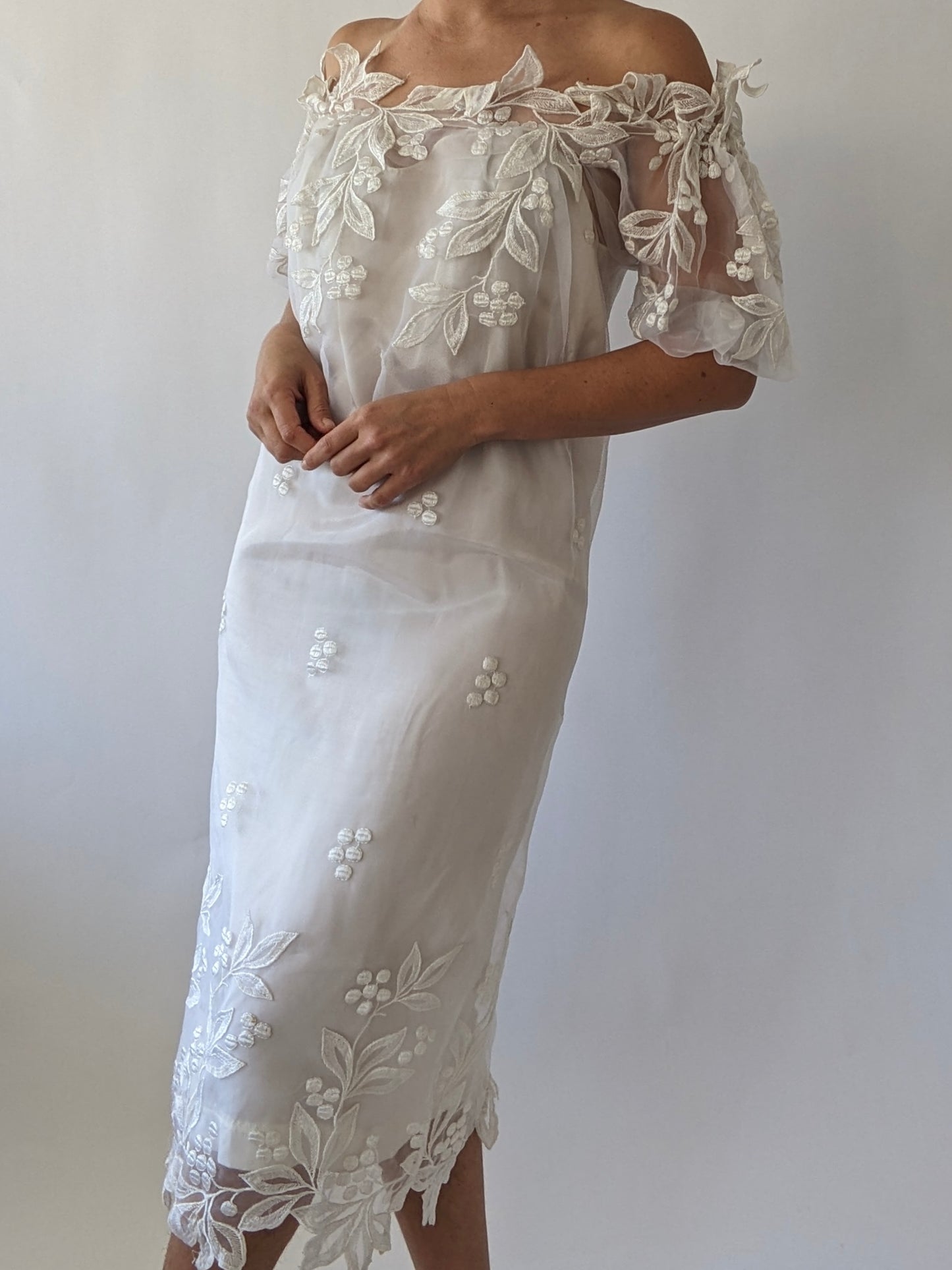 Incredible Vintage Embroidered Organza Dress