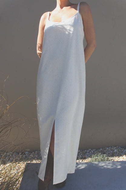 Carolyn Raw Silk Slip Dress