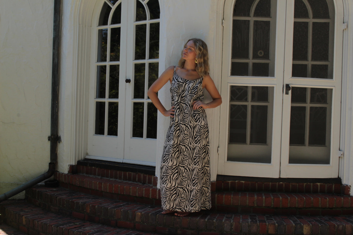 Favorite Vintage Zebra-Print Linen Dress