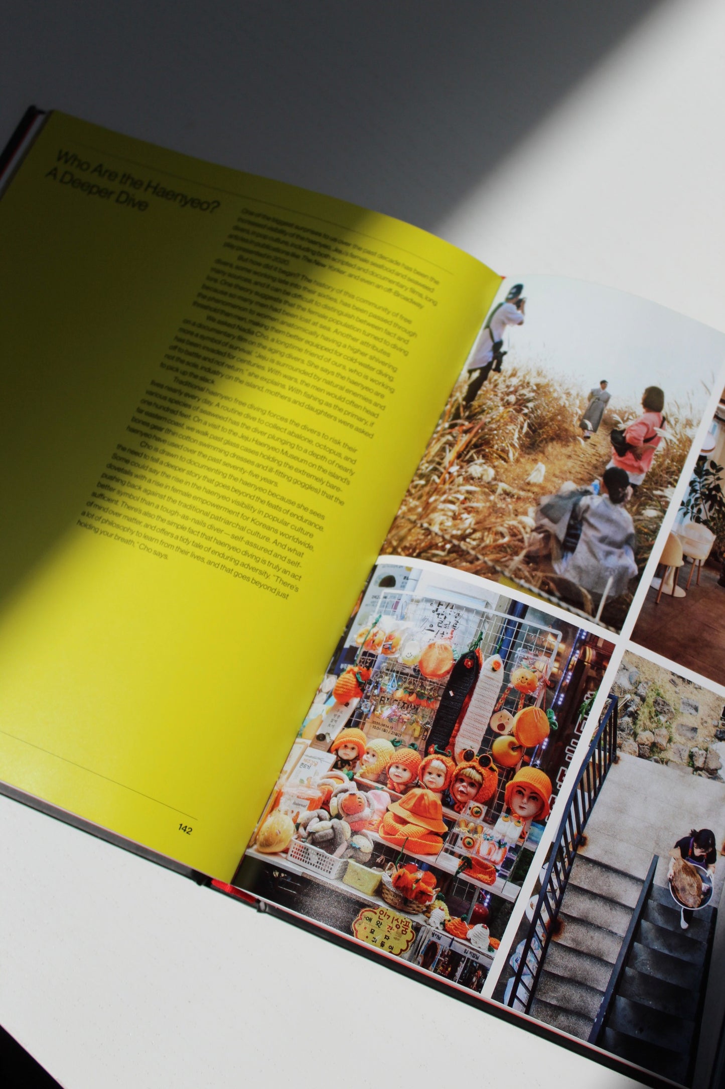 Koreaworld: A Cookbook