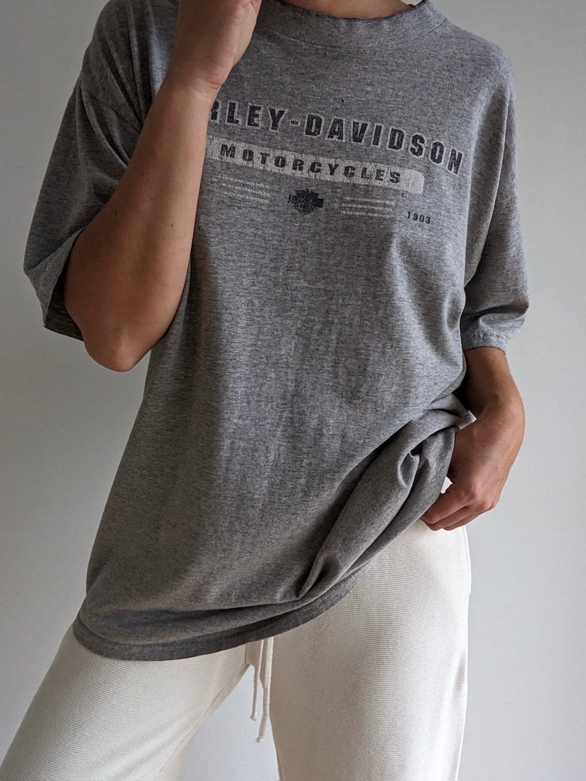 Vintage Harley Davidson Heather Grey T-Shirt