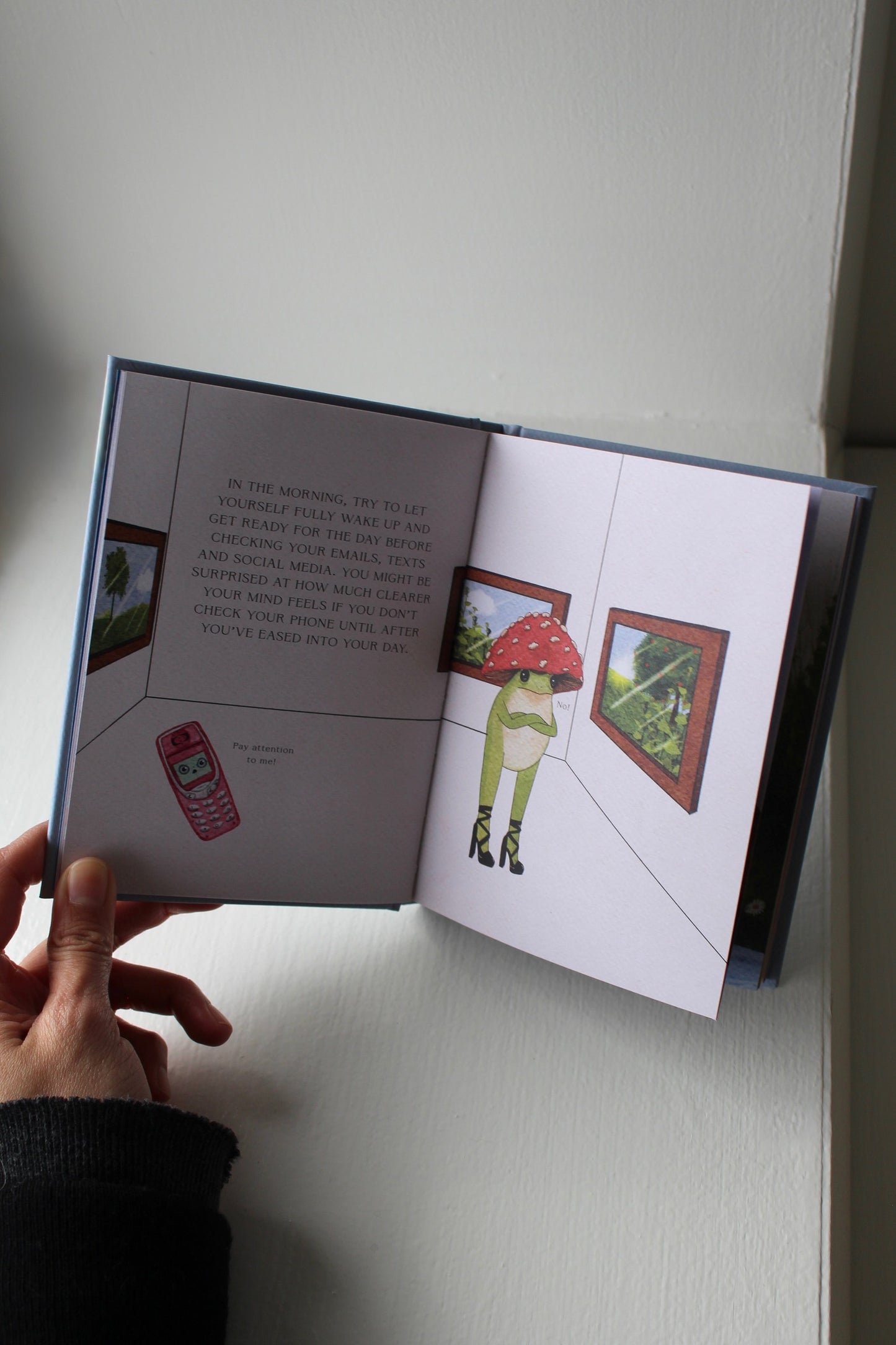 The Little Frog's Guide To Life