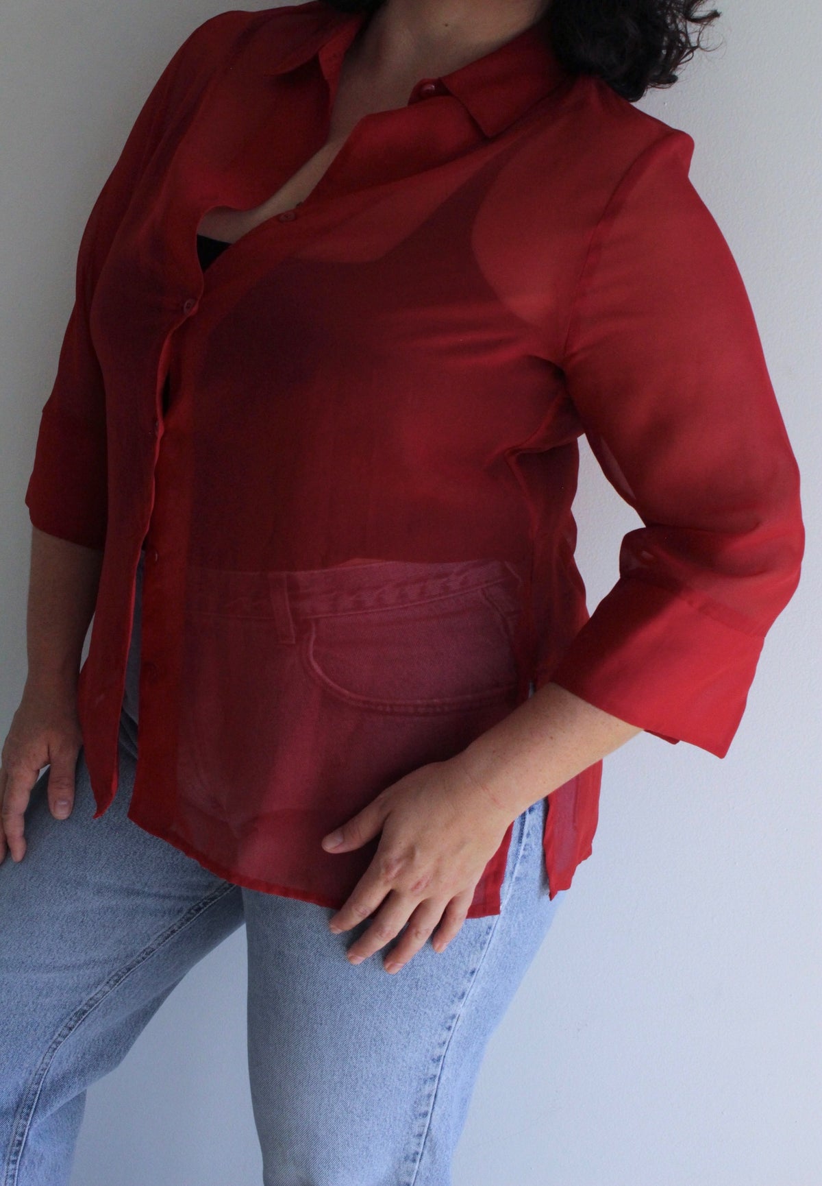 Vintage Rouge Sheer Tunic Blouse