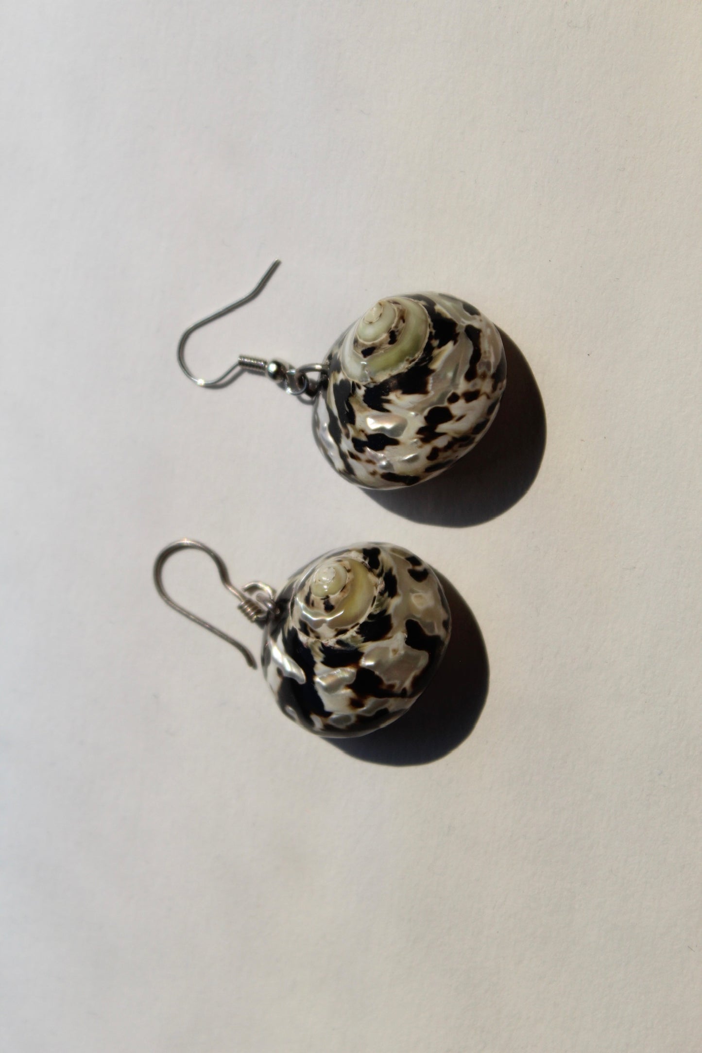 Vintage Spotted Turbo Shell Earrings