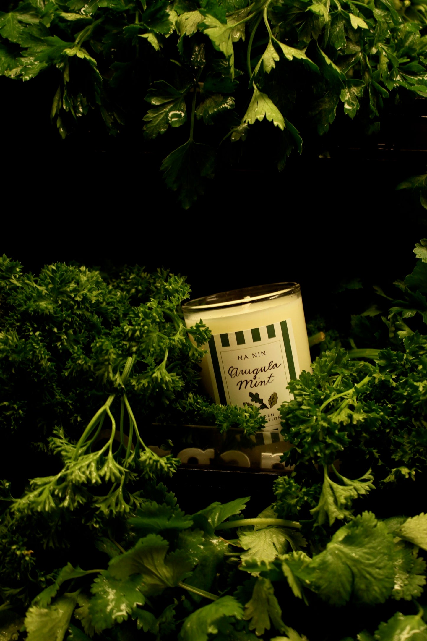 Arugula Mint Candle / Available in 5oz & 8oz