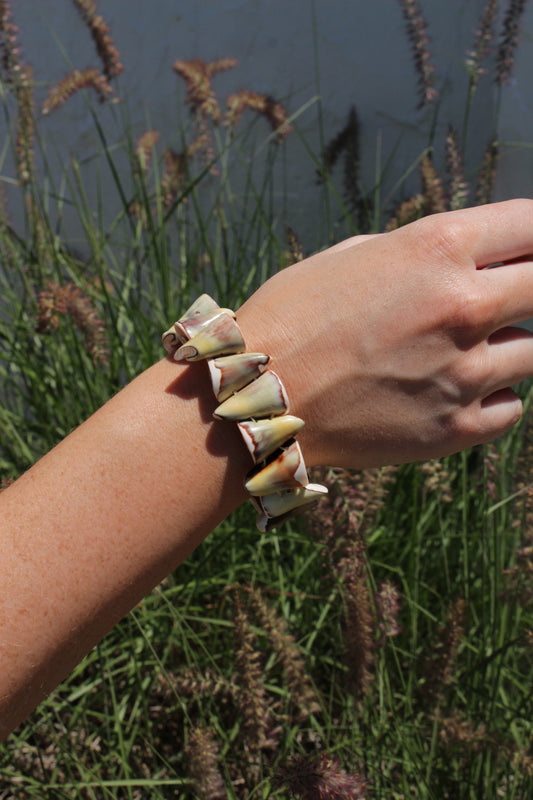Fun Vintage Spiral Shell Bracelet