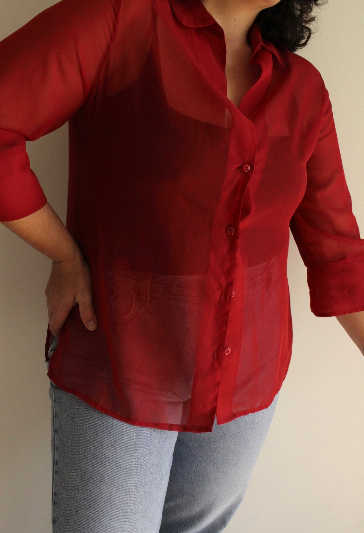 Vintage Rouge Sheer Tunic Blouse