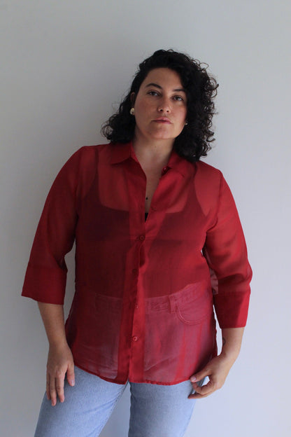Vintage Rouge Sheer Tunic Blouse