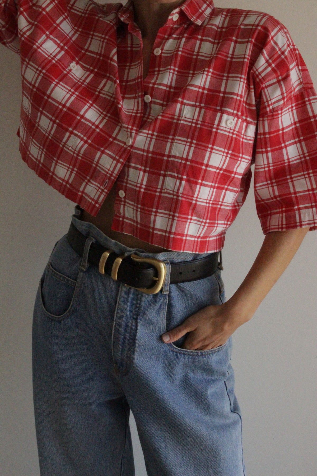 Fun Vintage Ruby Plaid Cropped Shirt