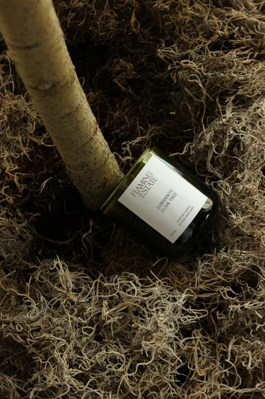 Agrigento Olive Tree Candle