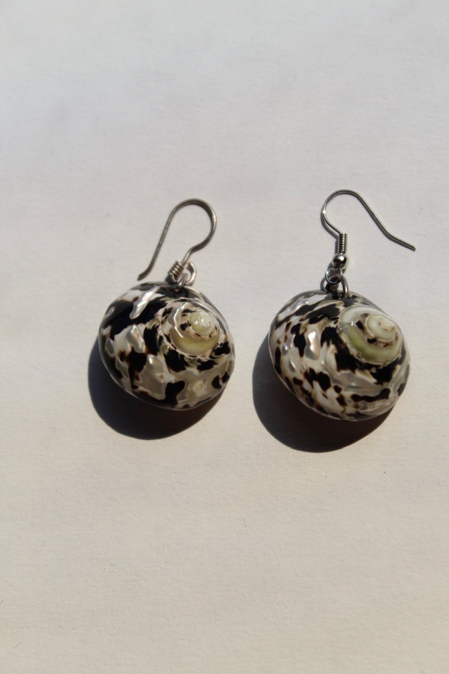 Vintage Spotted Turbo Shell Earrings