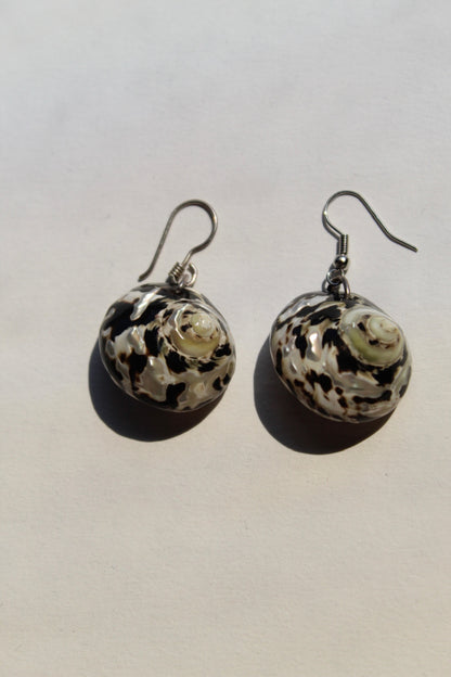 Vintage Spotted Turbo Shell Earrings