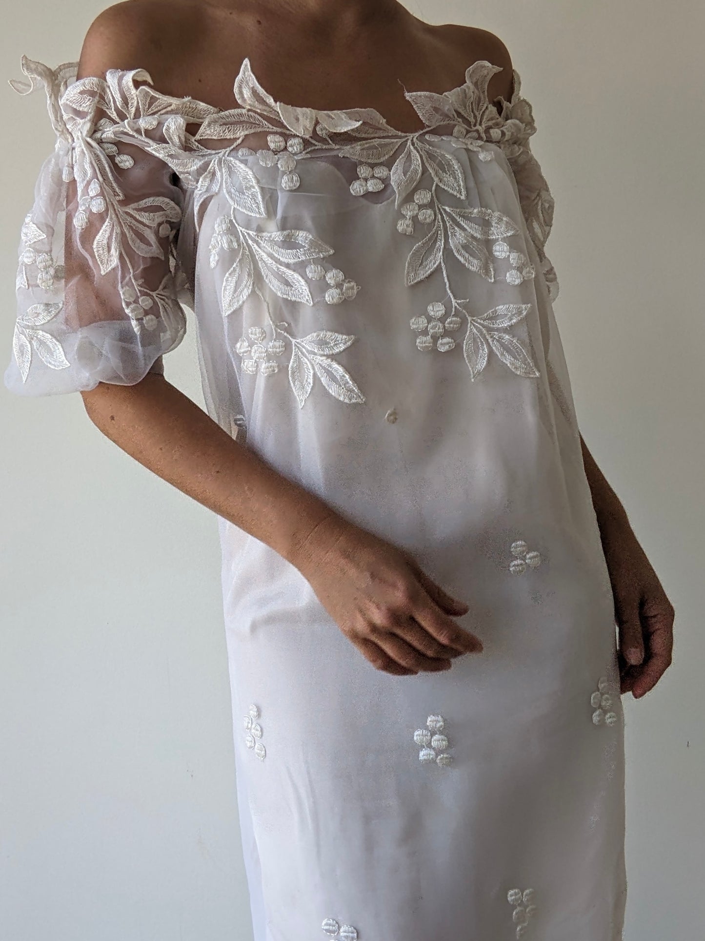 Incredible Vintage Embroidered Organza Dress