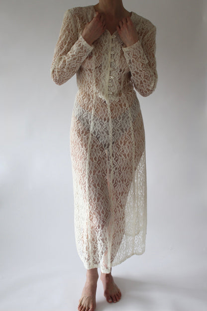 Incredible Vintage Sheer Lace Dress