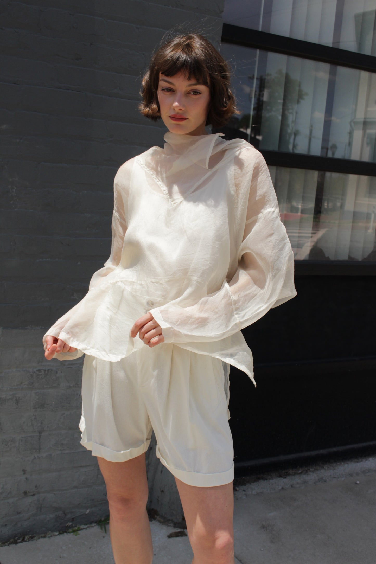 Rare Vintage Cream Sheer Silk Organza Pullover