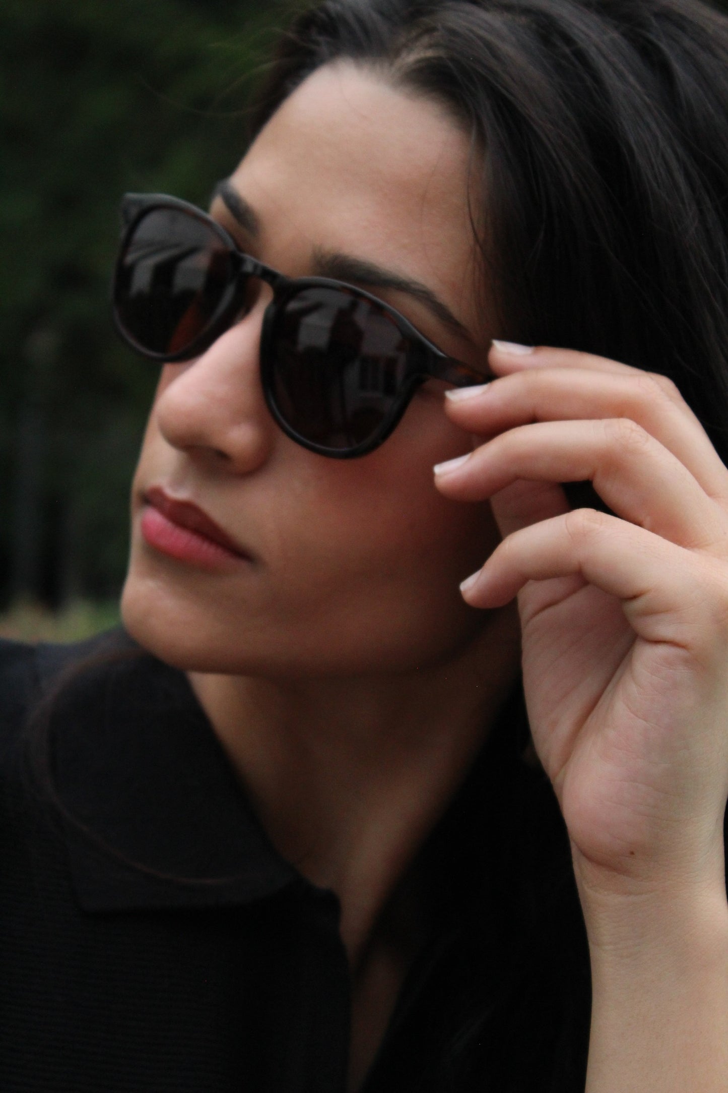 Noah Sunglasses