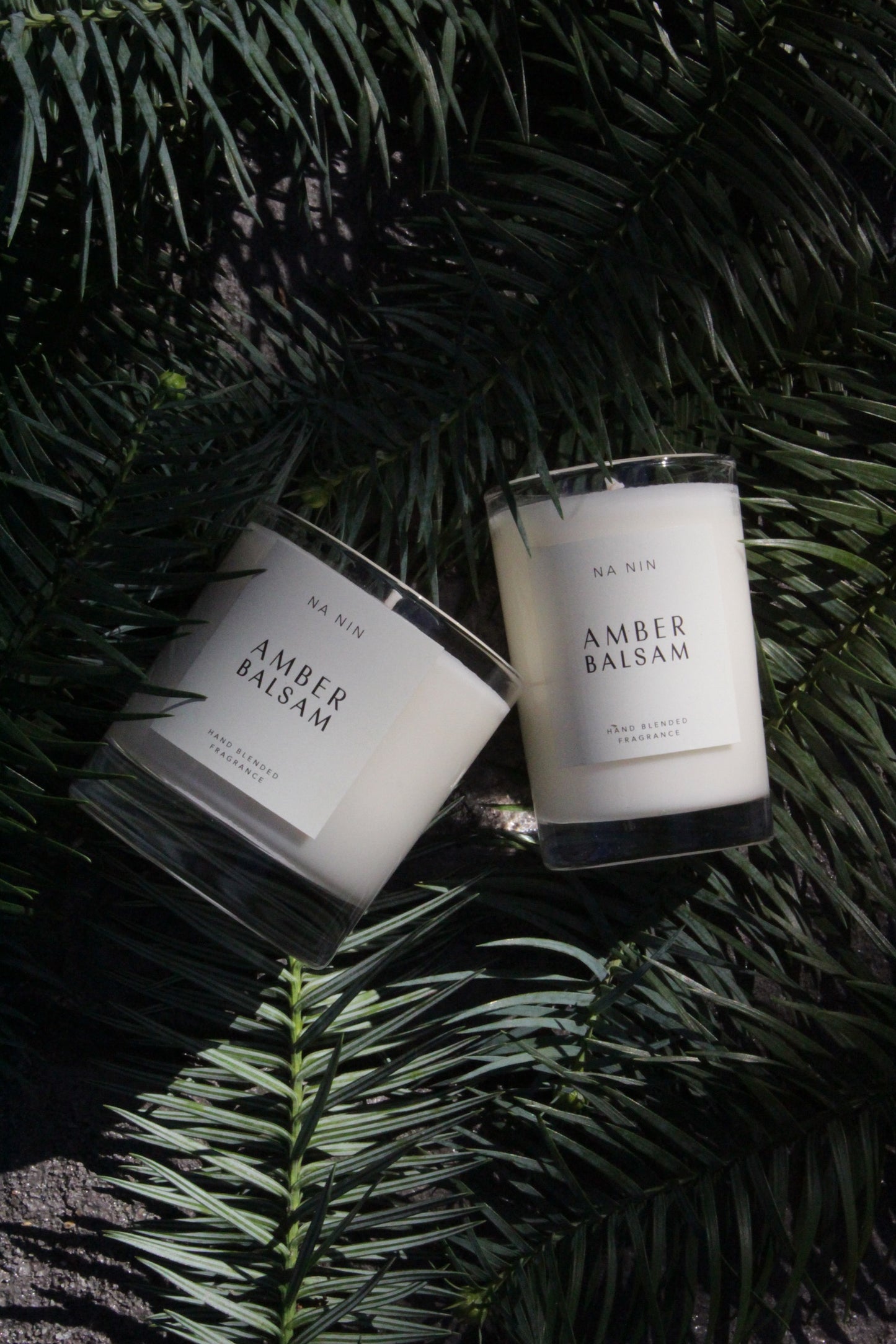 Amber Balsam Candle / Available in 5oz & 8oz