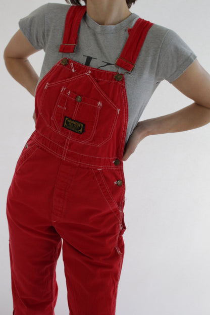 Incredible Vintage DeeCee Overalls