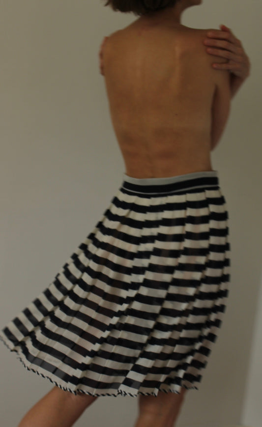 Vintage Sheer Silk Striped & Pleated Skirt