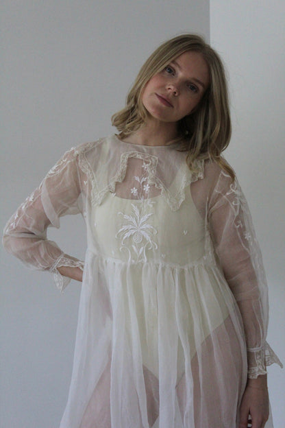 Absolutely Incredible Antique Embroidered Organza Gown