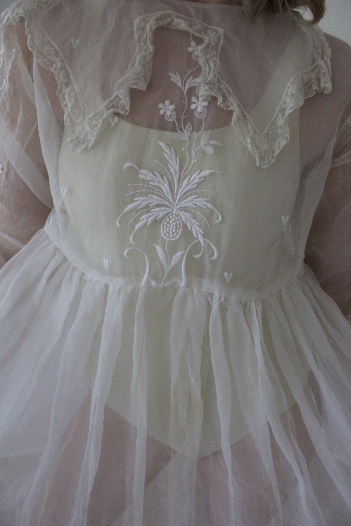 Absolutely Incredible Antique Embroidered Organza Gown