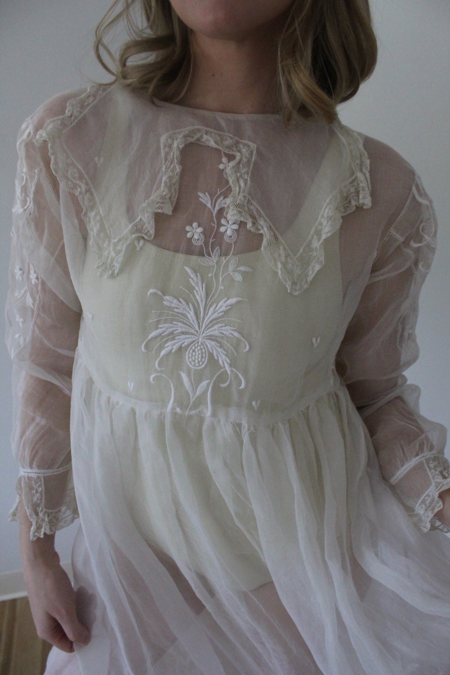 Absolutely Incredible Antique Embroidered Organza Gown