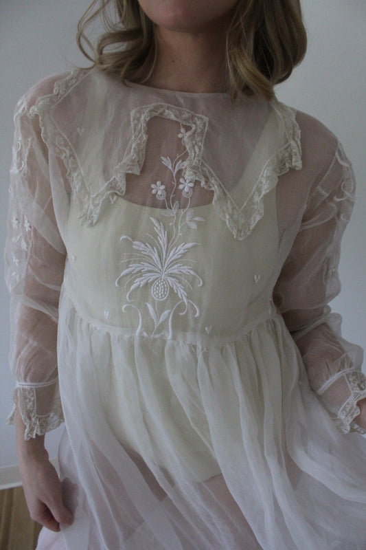 Absolutely Incredible Antique Embroidered Organza Gown