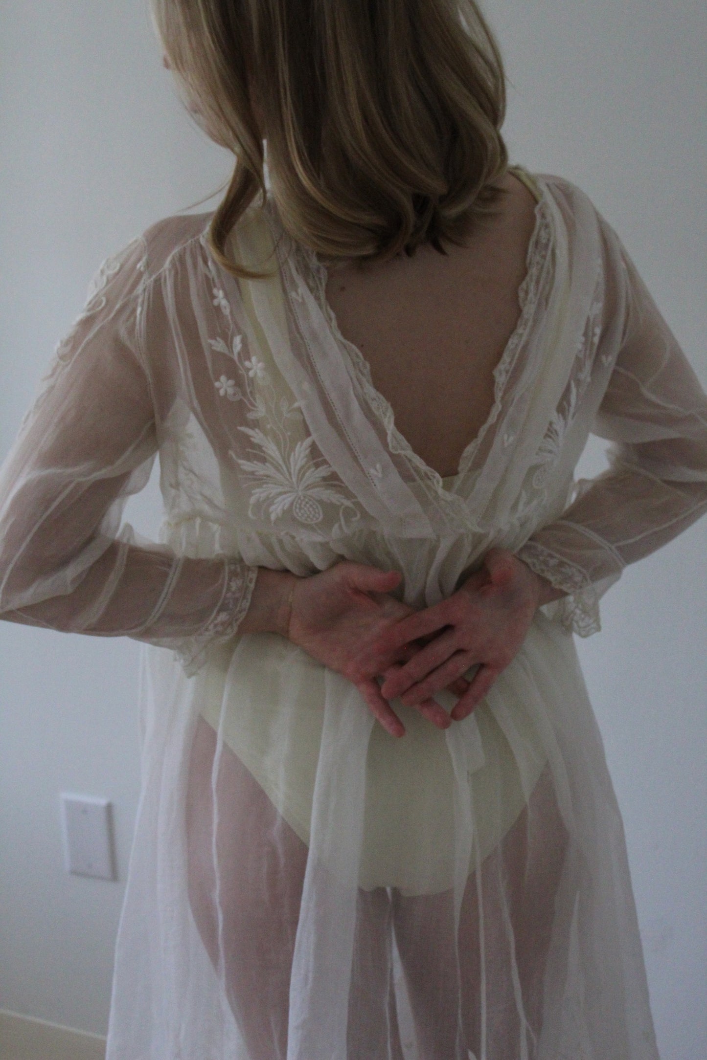 Absolutely Incredible Antique Embroidered Organza Gown