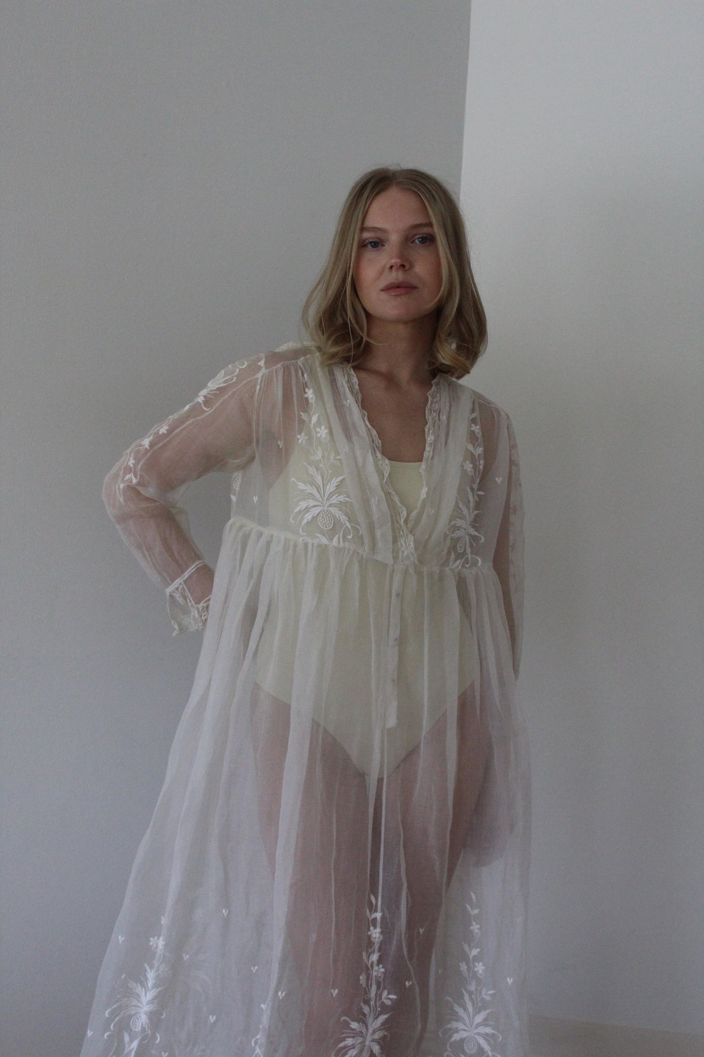 Absolutely Incredible Antique Embroidered Organza Gown