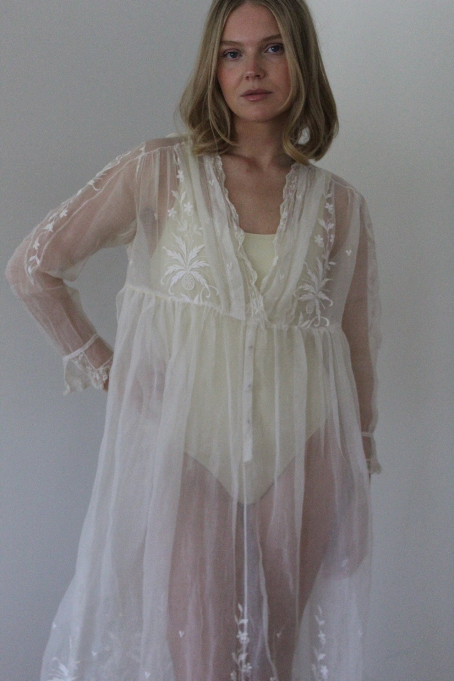 Absolutely Incredible Antique Embroidered Organza Gown