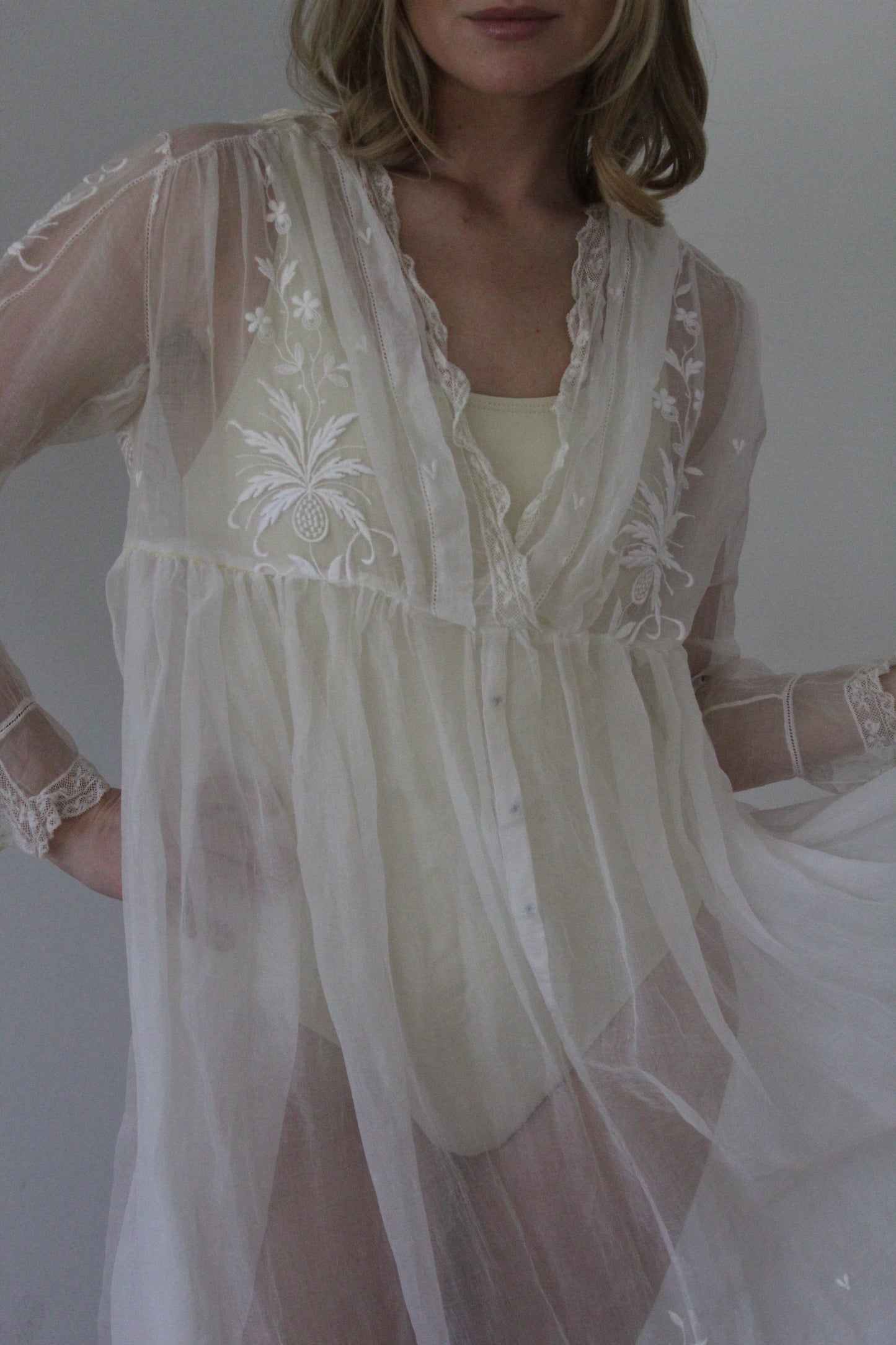 Absolutely Incredible Antique Embroidered Organza Gown