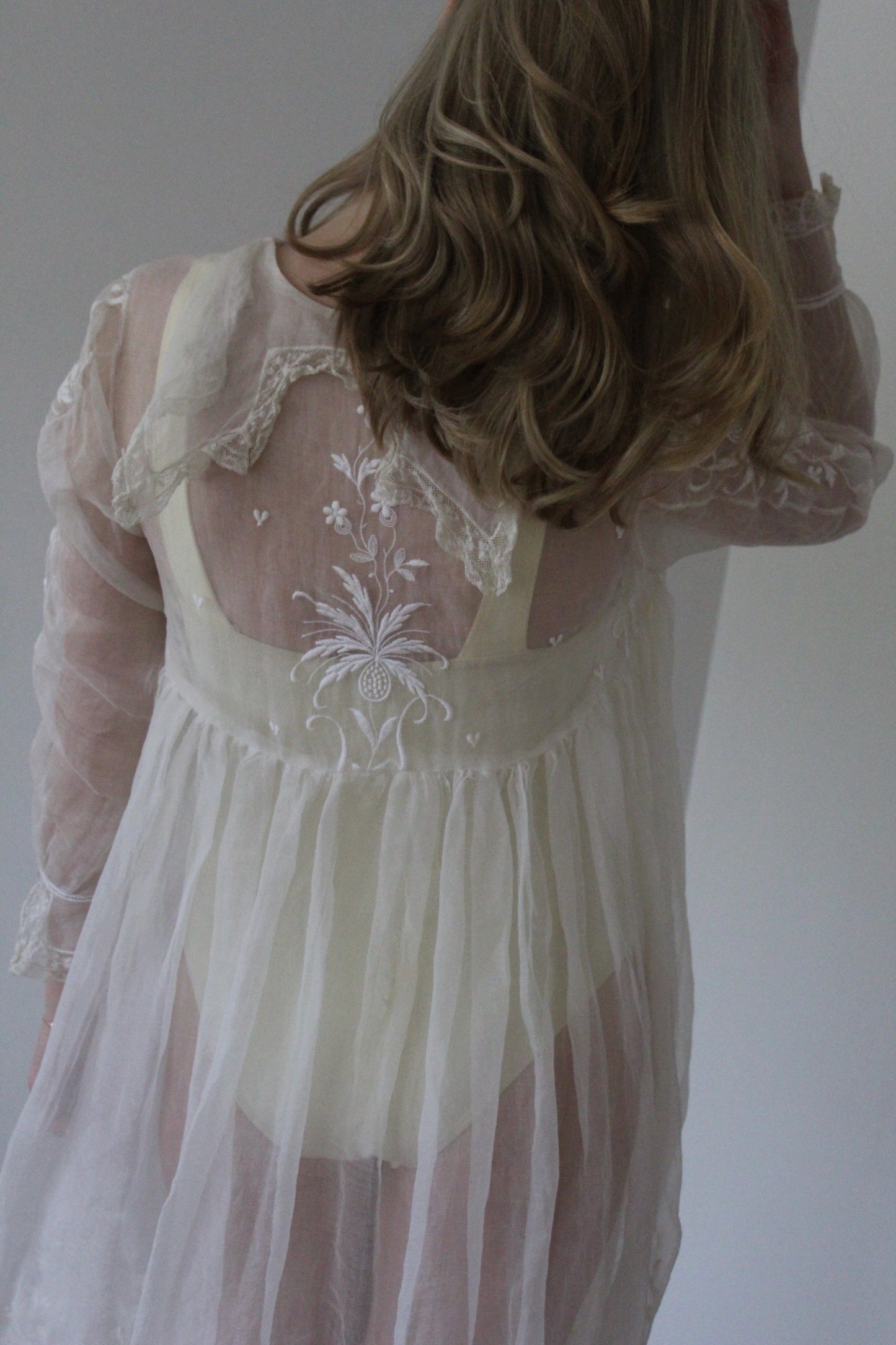 Absolutely Incredible Antique Embroidered Organza Gown