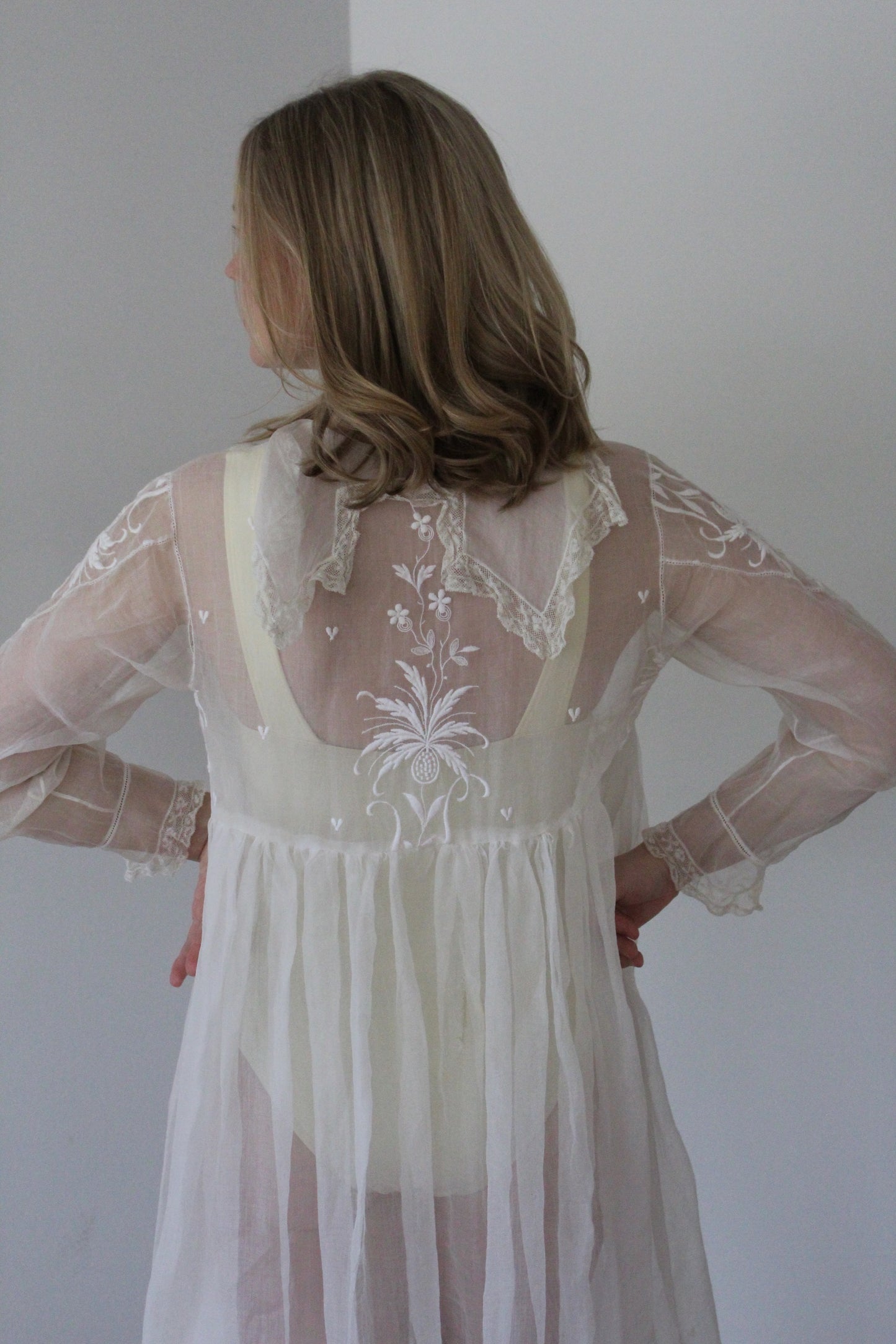 Absolutely Incredible Antique Embroidered Organza Gown