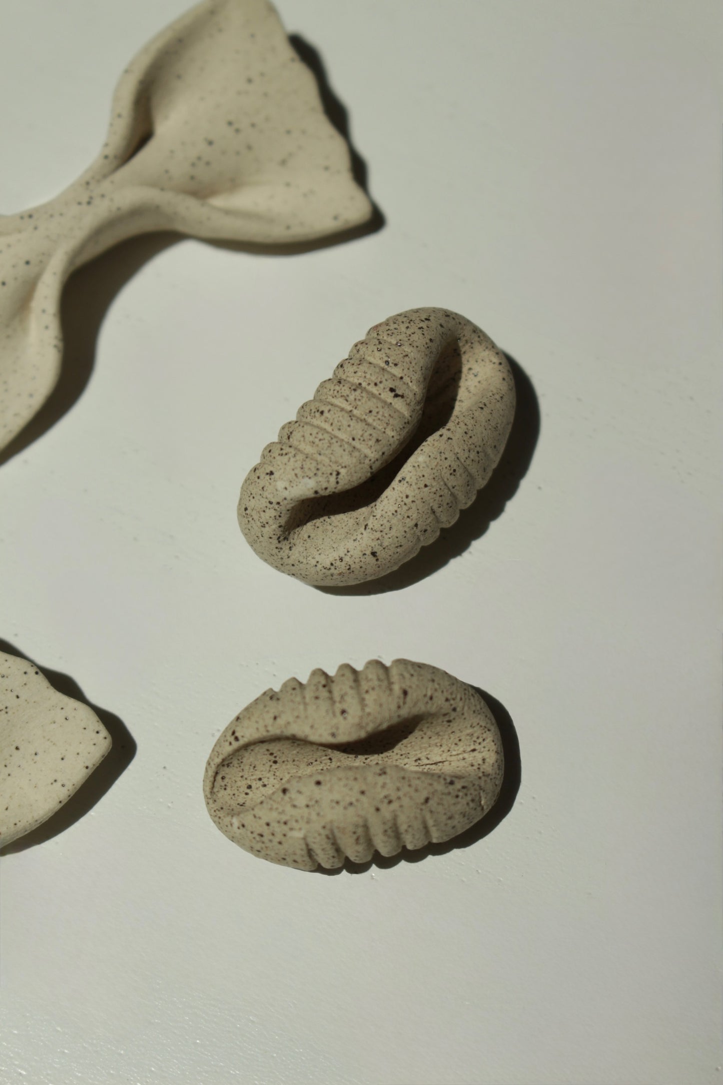 Ceramic Magnet