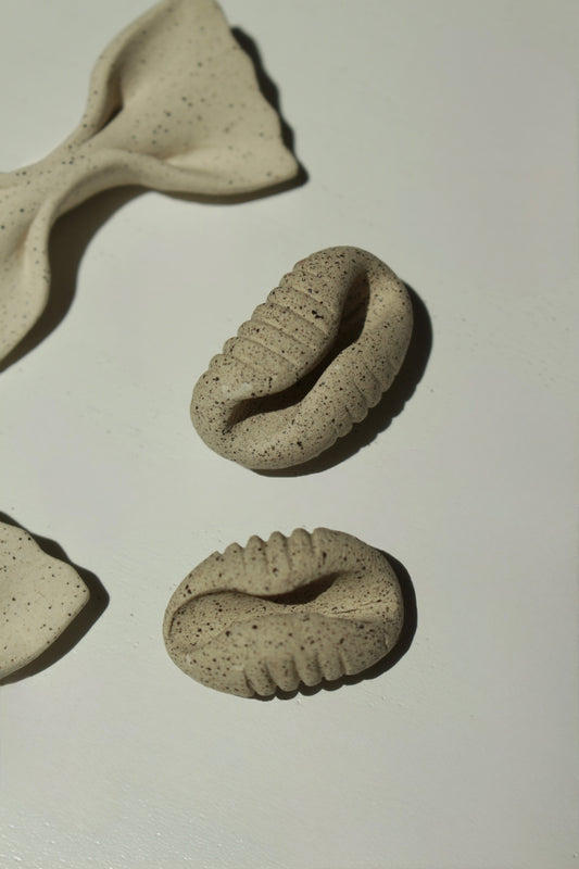 Ceramic Magnet