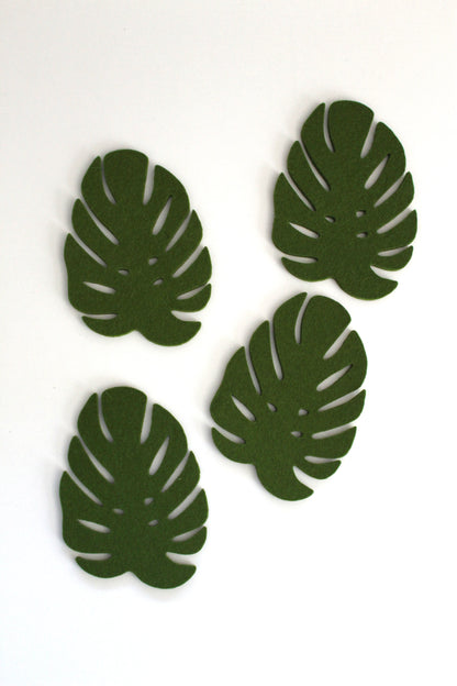 Monstera Coaster Set