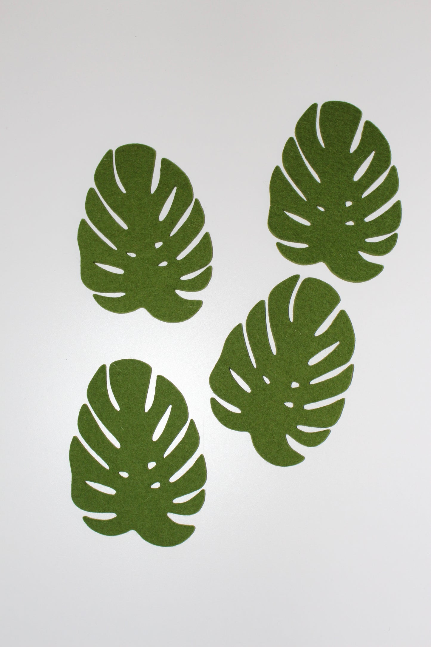 Monstera Coaster Set