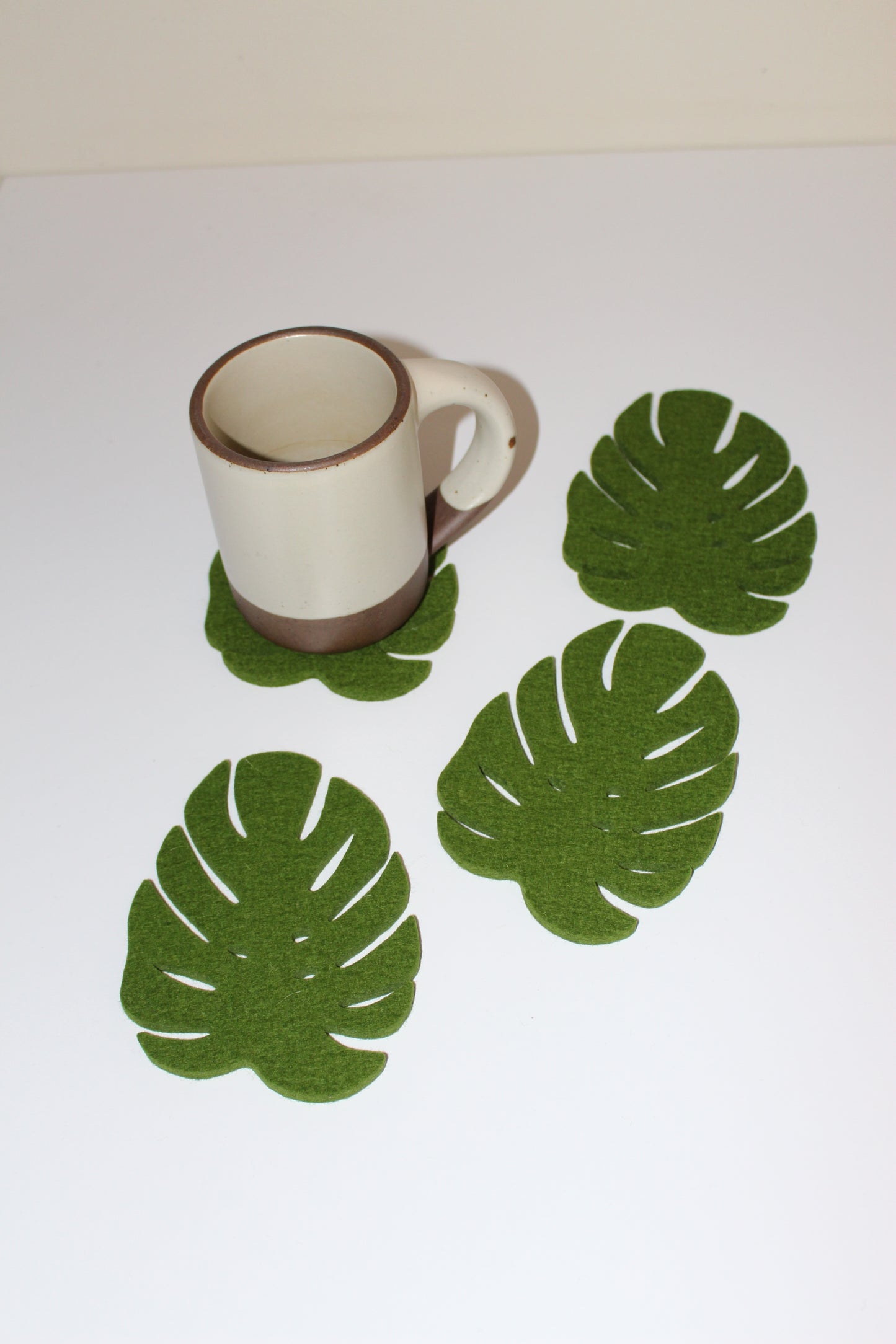 Monstera Coaster Set
