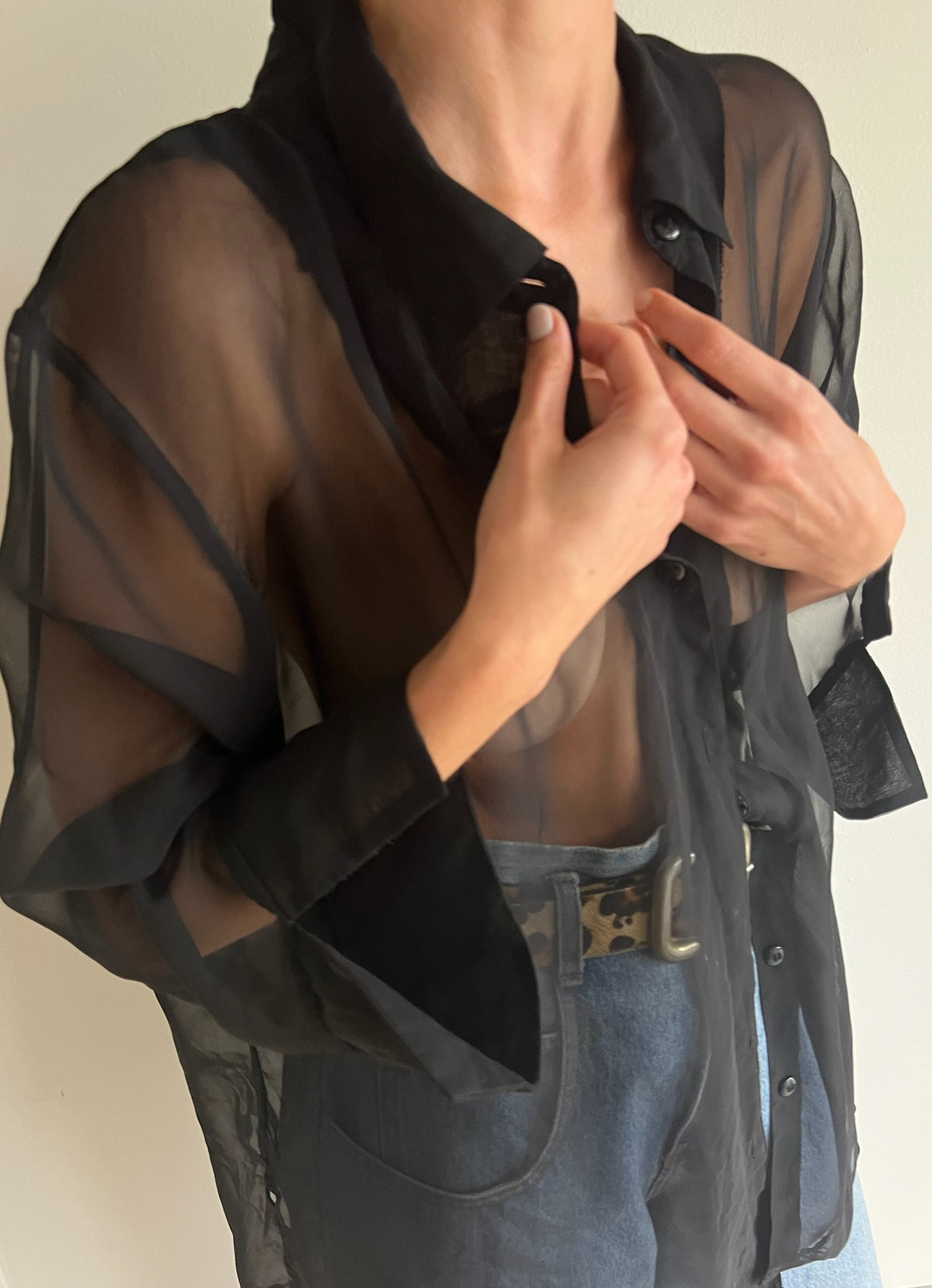 Vintage Sheer Onyx Blouse