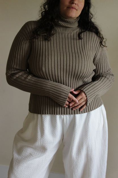 Montana Pima Cotton Turtleneck